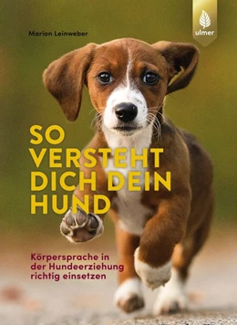 Abbildung von Leinweber | So versteht dich dein Hund | 1. Auflage | 2020 | beck-shop.de