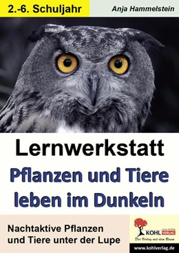 Abbildung von Hammelstein | Lernwerkstatt Nachtaktive Pflanzen und Tiere | 1. Auflage | 2017 | beck-shop.de