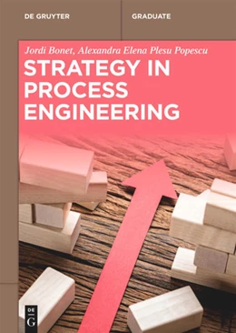 Abbildung von Bonet / Plesu Popescu | Strategy in Process Engineering | 1. Auflage | 2026 | beck-shop.de