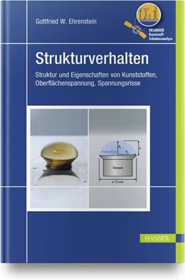 Abbildung von Ehrenstein | Strukturverhalten | 1. Auflage | 2020 | beck-shop.de