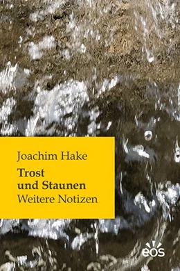 Abbildung von Hake | Trost und Staunen | 1. Auflage | 2020 | beck-shop.de