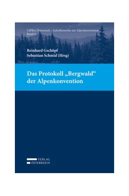 Abbildung von Gschöpf / Schmid | Das Protokoll 