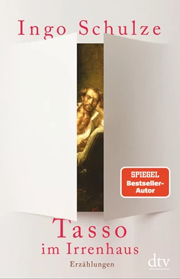 Abbildung von Schulze | Tasso im Irrenhaus | 1. Auflage | 2021 | beck-shop.de