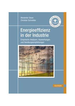 Abbildung von Sauer / Schneider | Energieeffizienz in der Industrie | 1. Auflage | 2020 | beck-shop.de