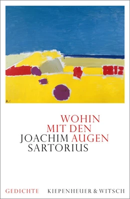 Abbildung von Sartorius | Wohin mit den Augen | 1. Auflage | 2021 | beck-shop.de