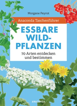 Abbildung von Peyrot / Herzog | Anaconda Taschenführer Essbare Wildpflanzen. 70 Arten bestimmen und entdecken. - | 1. Auflage | 2021 | beck-shop.de