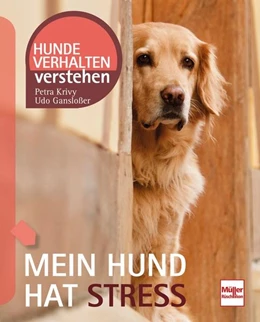 Abbildung von Gansloßer / Krivy | Mein Hund hat Stress | 1. Auflage | 2021 | beck-shop.de