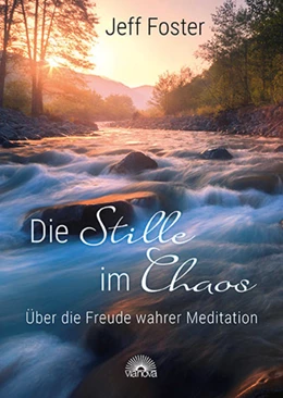 Abbildung von Foster | Die Stille im Chaos | 1. Auflage | 2021 | beck-shop.de