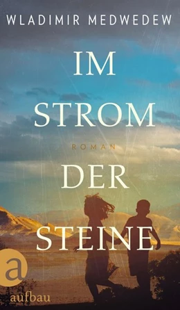 Abbildung von Medwedew | Im Strom der Steine | 1. Auflage | 2021 | beck-shop.de