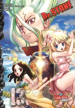 Abbildung von Boichi / Inagaki | Dr. Stone 13 | 1. Auflage | 2021 | beck-shop.de