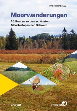 Abbildung von Pro Natura | Moorwanderungen | 1. Auflage | 2021 | beck-shop.de