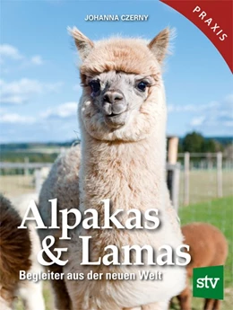 Abbildung von Czerny | Alpakas & Lamas | 1. Auflage | 2021 | beck-shop.de