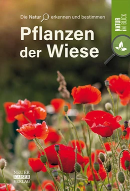 Abbildung von Pflanzen der Wiese | 1. Auflage | 2021 | beck-shop.de