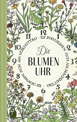 Abbildung von Die Blumenuhr | 1. Auflage | 2021 | beck-shop.de