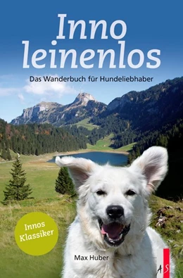 Abbildung von Huber | Inno leinenlos | 1. Auflage | 2021 | beck-shop.de