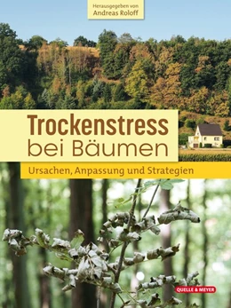 Abbildung von Roloff | Trockenstress bei Bäumen | 1. Auflage | 2021 | beck-shop.de