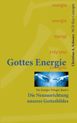 Abbildung von Schwarz | Gottes Energie Band 2 | 1. Auflage | 2020 | beck-shop.de