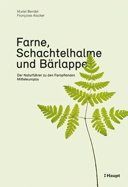 Abbildung von Bendel / Alsaker | Farne, Schachtelhalme und Bärlappe | 1. Auflage | 2021 | beck-shop.de