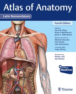 Abbildung von Gilroy / MacPherson | Atlas of Anatomy, Latin Nomenclature | 4. Auflage | 2021 | beck-shop.de