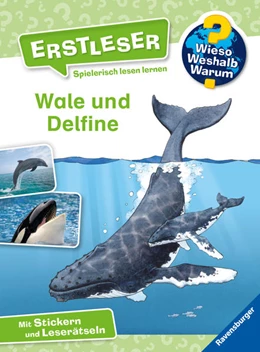 Abbildung von Noa | Wieso? Weshalb? Warum? Erstleser: Wale und Delfine (Band 3) | 1. Auflage | 2021 | beck-shop.de