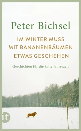 Abbildung von Bichsel / Schneider | Im Winter muss mit Bananenbäumen etwas geschehen | 1. Auflage | 2021 | beck-shop.de