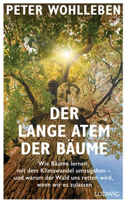 Abbildung von Wohlleben | Der lange Atem der Bäume | 1. Auflage | 2021 | beck-shop.de