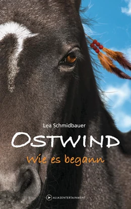 Abbildung von Schmidbauer | Ostwind - Wie es begann | 1. Auflage | 2021 | beck-shop.de