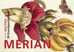 Abbildung von Postkarten-Set Maria Sibylla Merian | 1. Auflage | 2021 | beck-shop.de