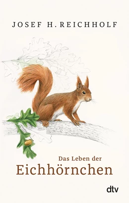 Abbildung von Reichholf | Das Leben der Eichhörnchen | 6. Auflage | 2021 | beck-shop.de