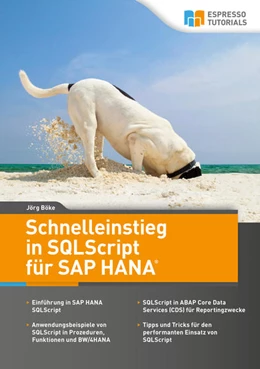 Abbildung von Böke | Schnelleinstieg in SQLScript für SAP HANA | 1. Auflage | 2021 | beck-shop.de