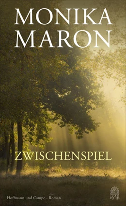 Abbildung von Maron | Zwischenspiel | 1. Auflage | 2021 | beck-shop.de