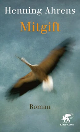 Abbildung von Ahrens | Mitgift | 1. Auflage | 2021 | beck-shop.de