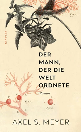 Abbildung von Meyer | Der Mann, der die Welt ordnete | 1. Auflage | 2021 | beck-shop.de