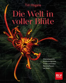 Abbildung von Hägele | Die Welt in voller Blüte: Eine botanische Entdeckungsreise zu den schönsten Blütenpflanzen der Welt | 1. Auflage | 2021 | beck-shop.de