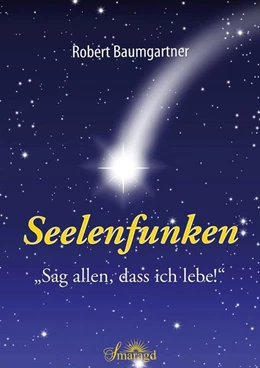 Abbildung von Baumgartner | Seelenfunken | 1. Auflage | 2021 | beck-shop.de