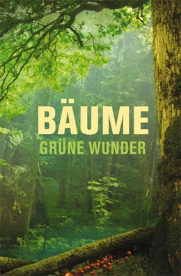 Abbildung von Pieper | Bäume - grüne Wunder | 1. Auflage | 2021 | beck-shop.de
