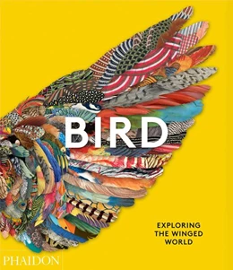 Abbildung von Grouw / Lobo | Bird | 1. Auflage | 2021 | beck-shop.de