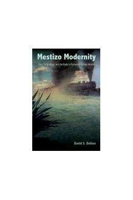 Abbildung von Mestizo Modernity | 1. Auflage | 2021 | beck-shop.de