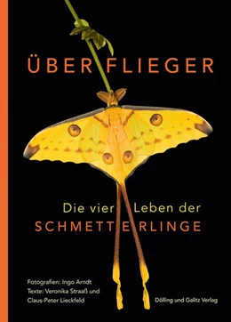 Abbildung von Straaß / Lieckfeld | Überflieger. Die vier Leben der Schmetterlinge | 1. Auflage | 2022 | beck-shop.de