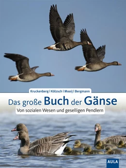 Abbildung von Kruckenberg / Kölzsch | Das große Buch der Gänse | 1. Auflage | 2022 | beck-shop.de