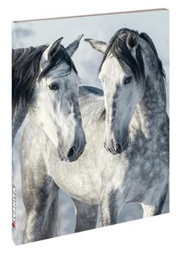 Abbildung von Magic Horses II | 1. Auflage | 2021 | beck-shop.de