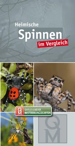 Abbildung von Quelle & Meyer Verlag | Heimische Spinnen im Vergleich | 1. Auflage | 2021 | beck-shop.de