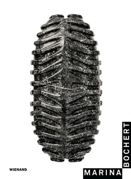 Abbildung von Austermann | Young Artists - Marina Bochert | 1. Auflage | 2021 | beck-shop.de