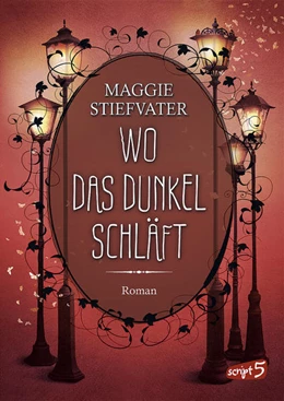 Abbildung von Stiefvater | Wo das Dunkel schläft (Band 4) | 1. Auflage | 2021 | beck-shop.de