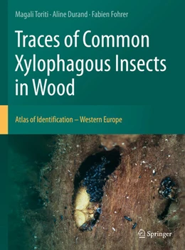 Abbildung von Toriti / Durand | Traces of Common Xylophagous Insects in Wood | 1. Auflage | 2021 | beck-shop.de