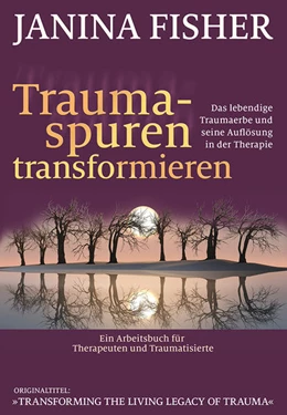 Abbildung von Fisher | Traumaspuren transformieren | 1. Auflage | 2021 | beck-shop.de