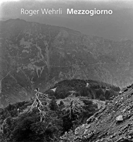Abbildung von Wehrli | Roger Wehrli | 1. Auflage | 2021 | beck-shop.de