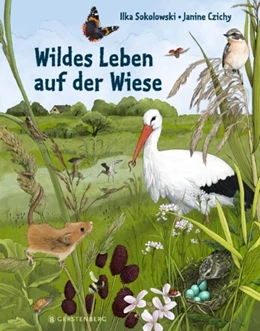 Abbildung von Sokolowski | Wildes Leben auf der Wiese | 1. Auflage | 2022 | beck-shop.de