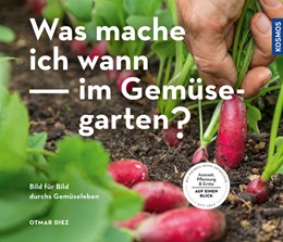 Abbildung von Diez | Was mache ich wann im Gemüsegarten? | 1. Auflage | 2022 | beck-shop.de