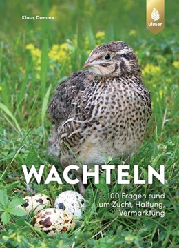 Abbildung von Damme | Wachteln | 1. Auflage | 2022 | beck-shop.de